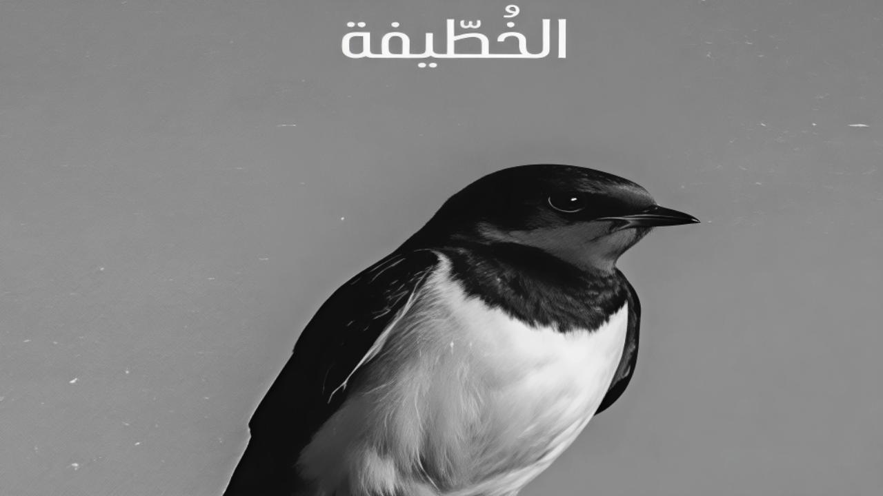 مسلسل الخطيفة الحلقة 10 العاشرة